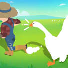 Crazy Goose Simulator
